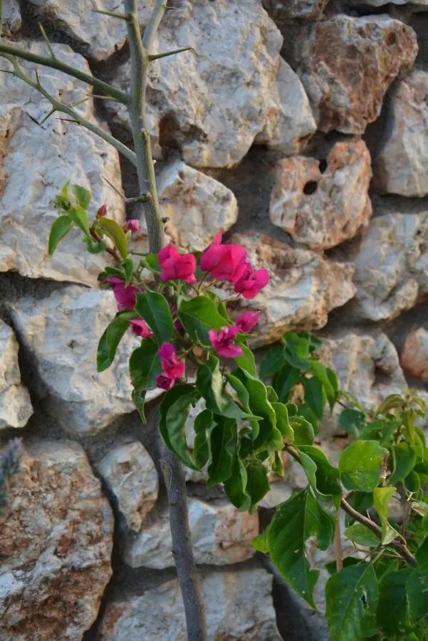 Lotus Studio Apartment North Lixouri Greece